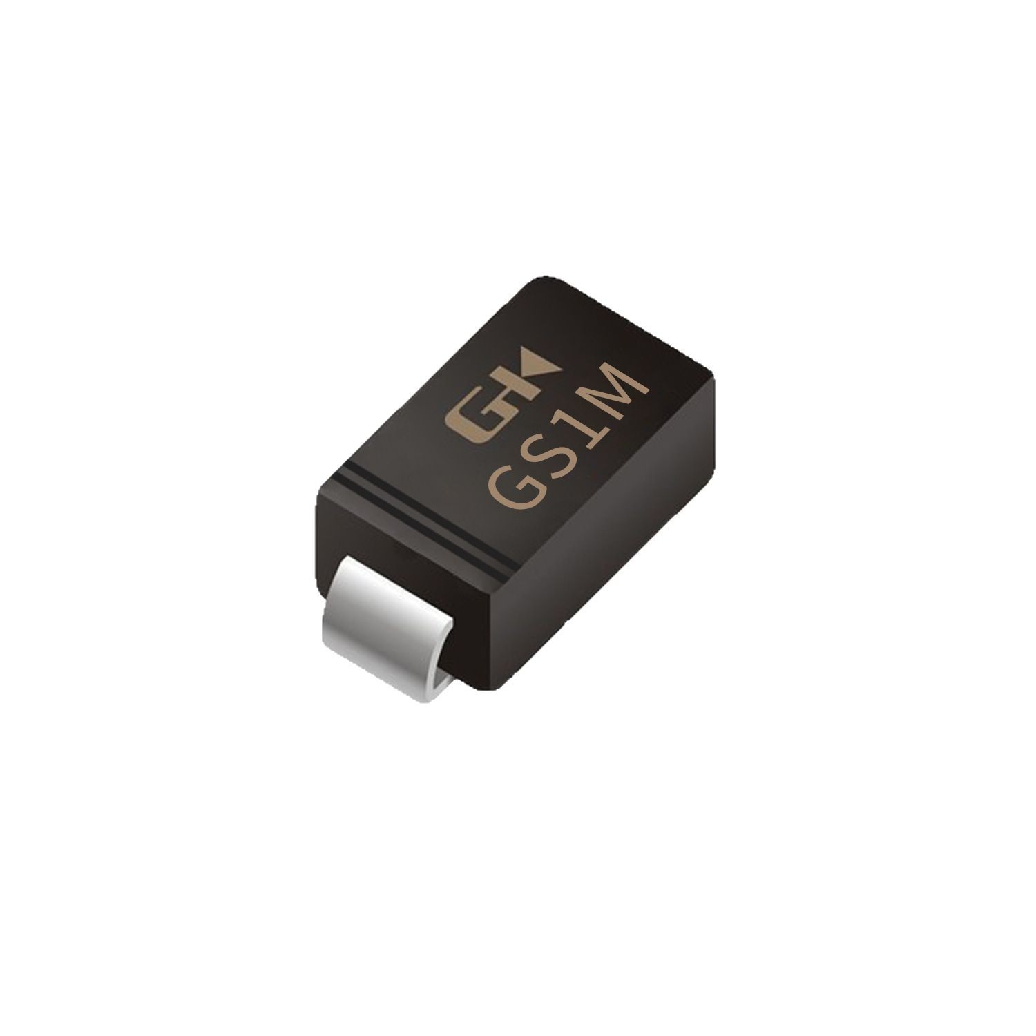 GS1M 1A1000V